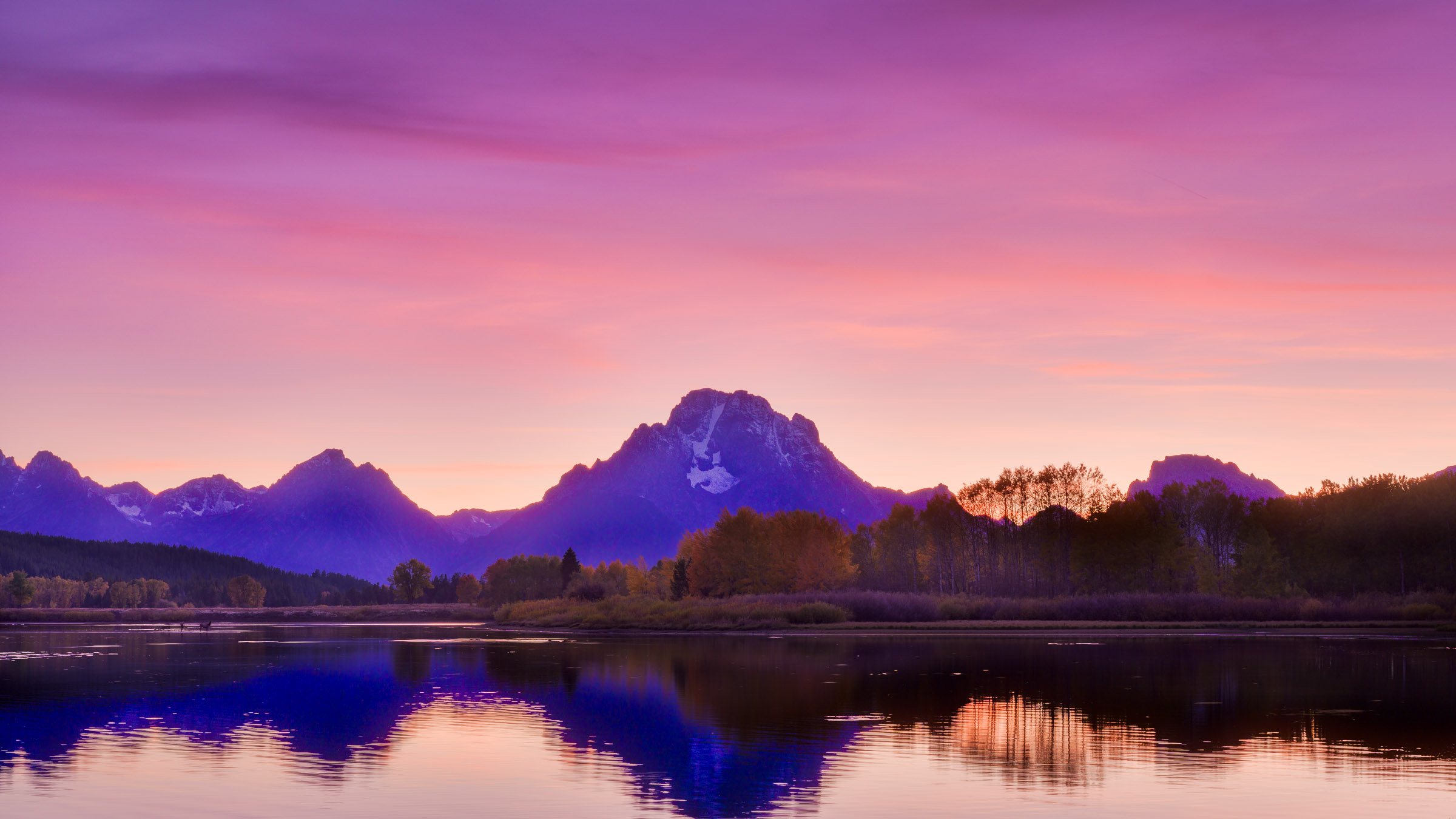 Mount Moran and fall trees reflected in the Snake River under a pink sunset sky, elk crossing at left, Oxbow Bend, Grand Teton.
